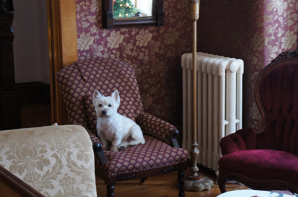 Maplecroft Bed & Breakfast 바레 외부 사진